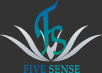 FIVE SENSE
